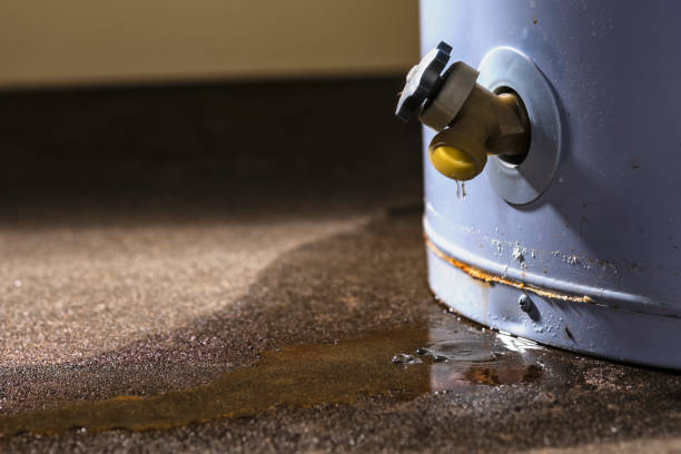 Best Water damage contractors near me  in Senatobia, MS