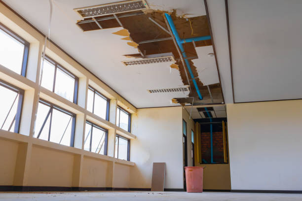 Best Sewage cleanup and water damage restoration  in Senatobia, MS