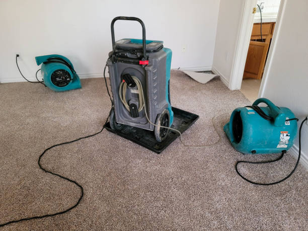 Professional Water damage restoration in Senatobia, MS