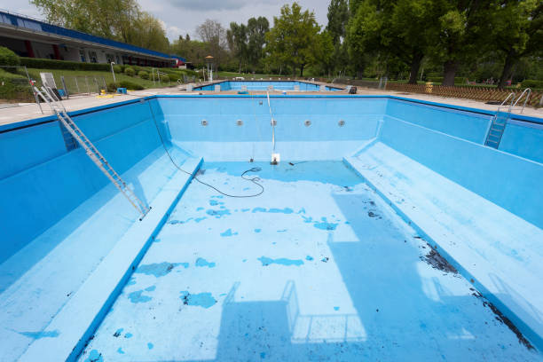 Best Flood damage cleanup  in Senatobia, MS