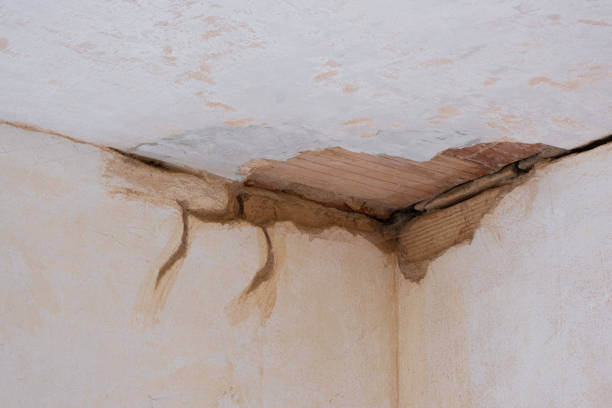 Best 24-hour water damage restoration  in Senatobia, MS