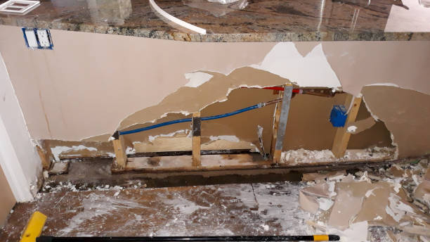 Best Commercial water damage restoration  in Senatobia, MS