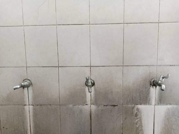 Best Local water damage restoration  in Senatobia, MS