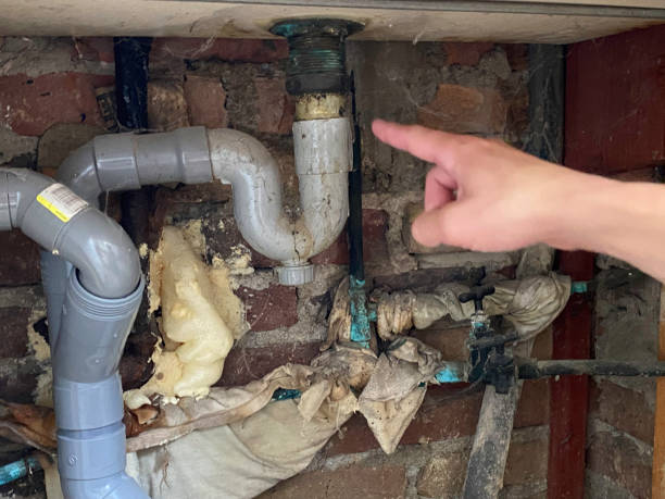 Best Carpet water damage restoration  in Senatobia, MS