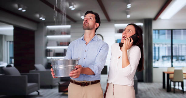 Best Ceiling water damage repair  in Senatobia, MS